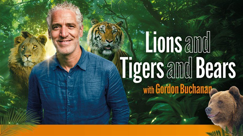 Gordon Buchanan: Lions, Tigers and Bears artwork, PLAYHOUSE Whitley Bay