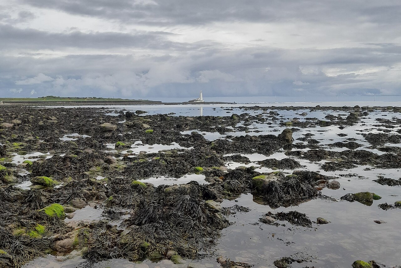 St Mary's Lighthouse